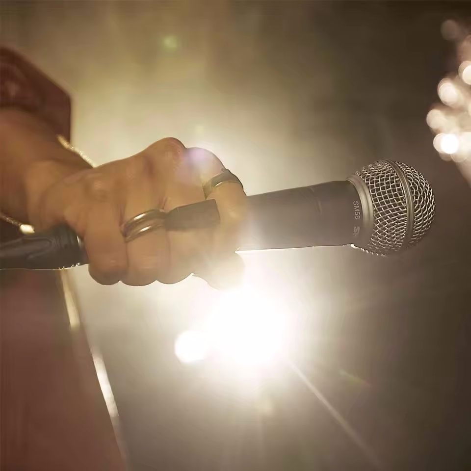 Динамический микрофон для кара – обзор и цена Shure Mic Sm58